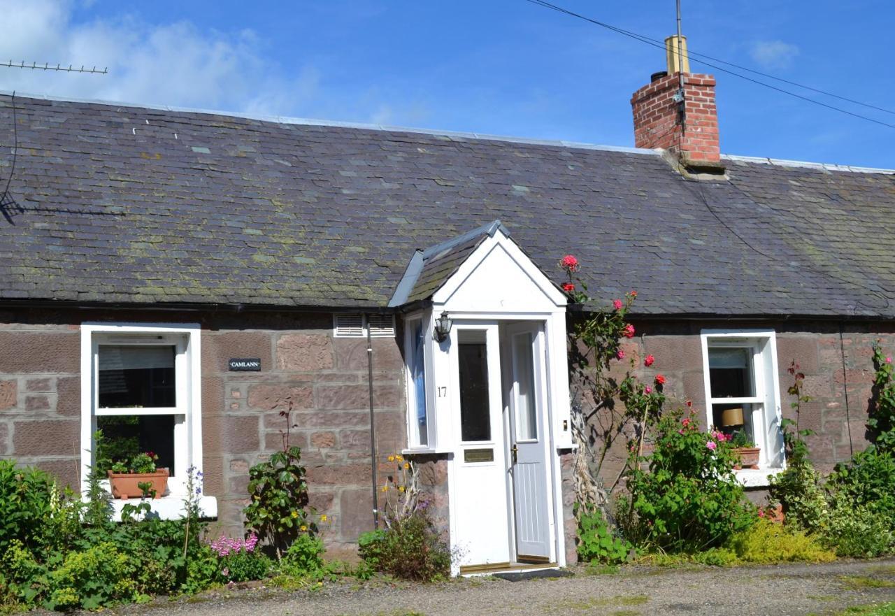 Ferienwohnung Camlann Alyth Exterior foto